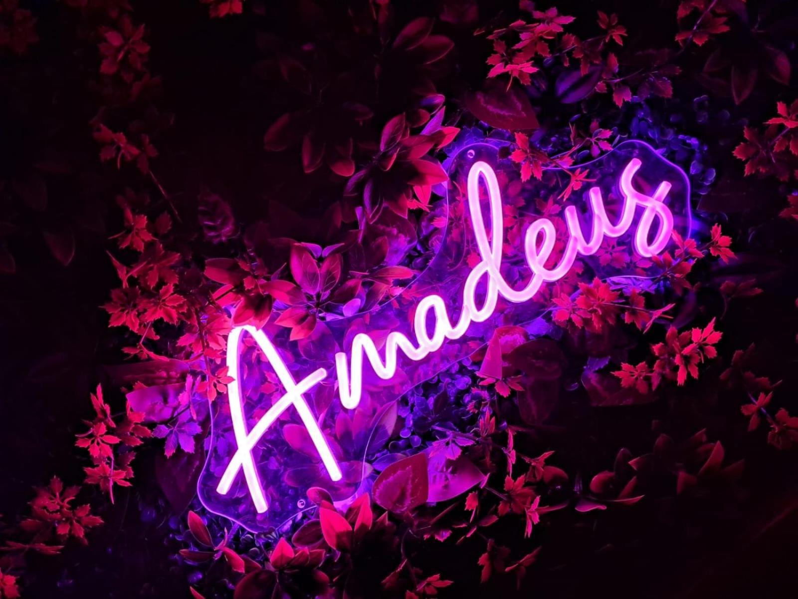 Peniche Amadeus Conviviale Et Cosy , Proche De Et De Paris Torcy (Seine-et-Marne)